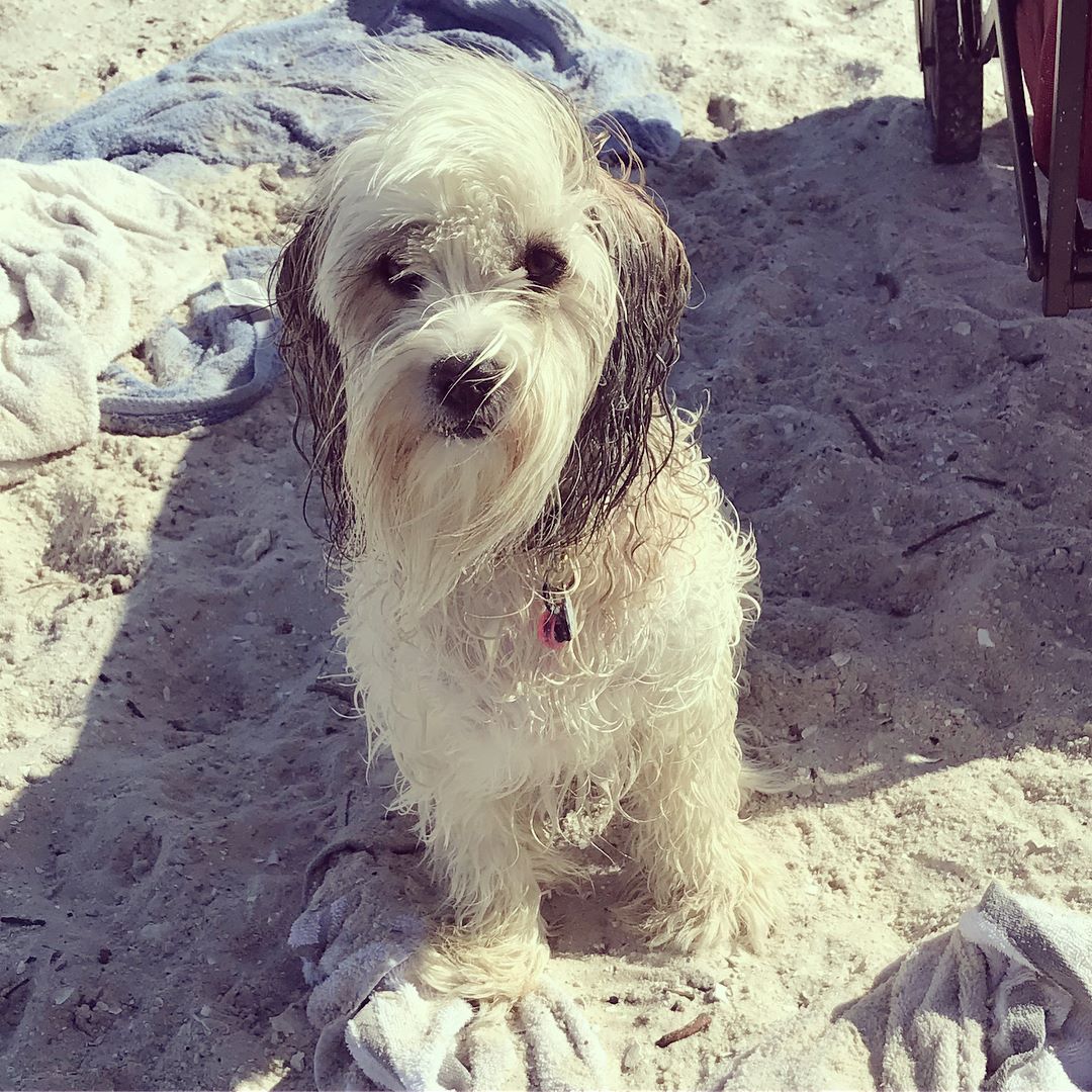 28617158_10213440024012321_4395514421285110076_o